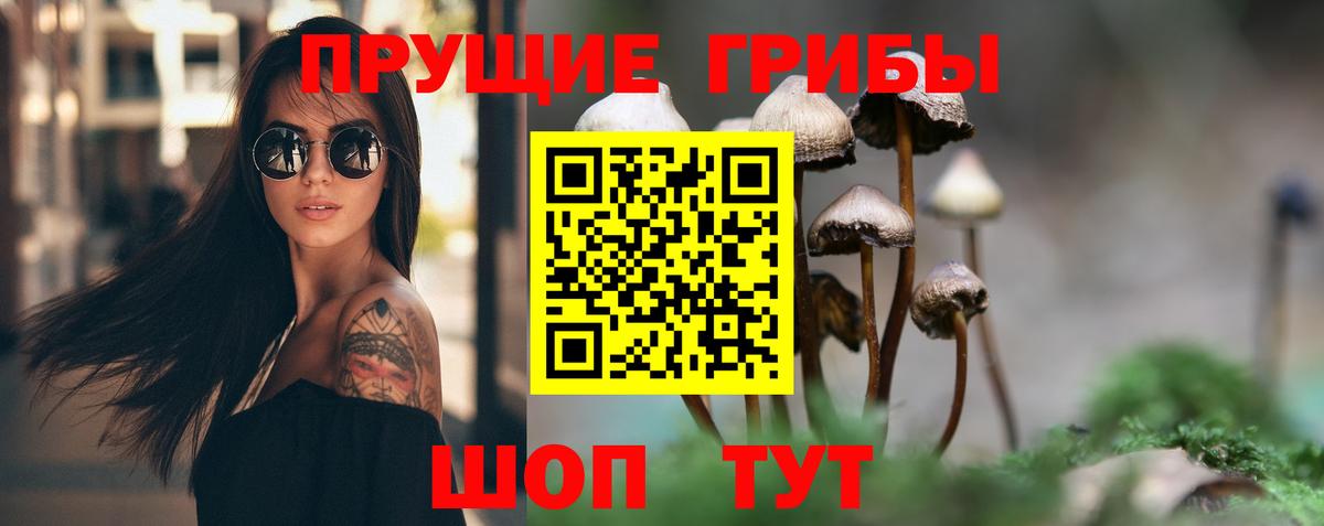 Магнитогорск  Псилоцибиновые грибы мицелий  Псилоцибиновые грибы мицелий  Вход с VPN 