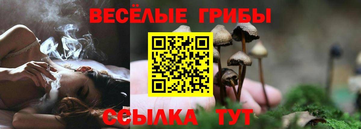 Галлюциногенные грибы Psilocybine cubensis Магнитогорск